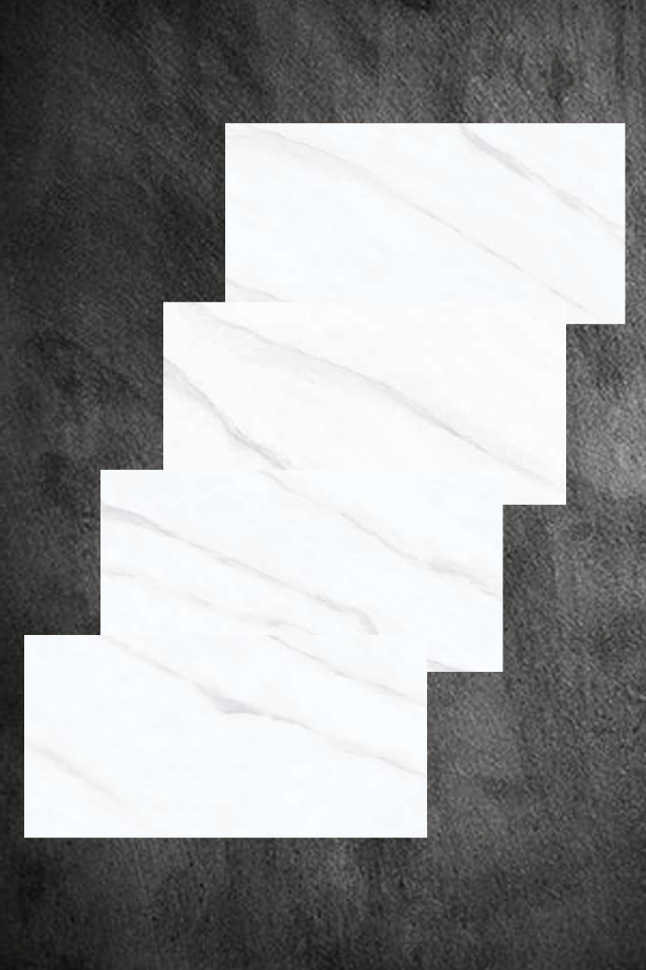 پرسلان کاتالان سفید