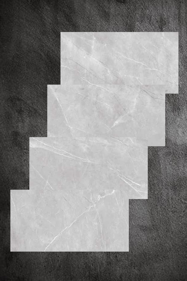 پرسلان شاهو طوسی تیره